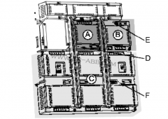 ABB�C���˾S�ޏ��s��